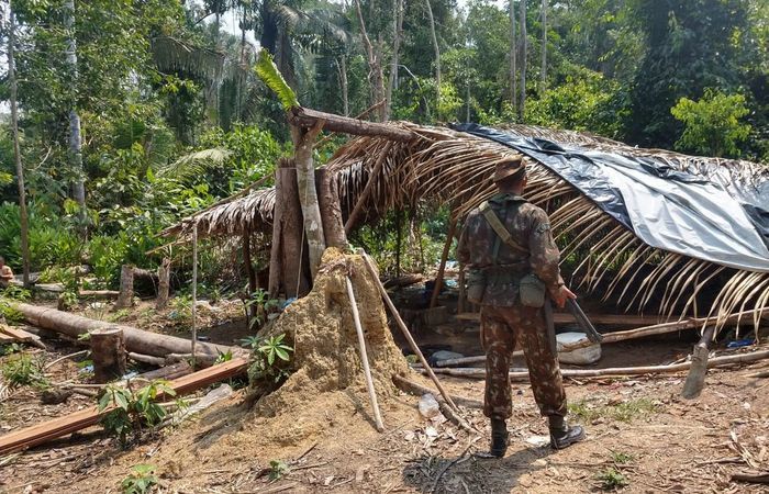 Foto: Divulgação / Operação Verde Brasil/ Foto: Divulgação / Operação Verde Brasil/