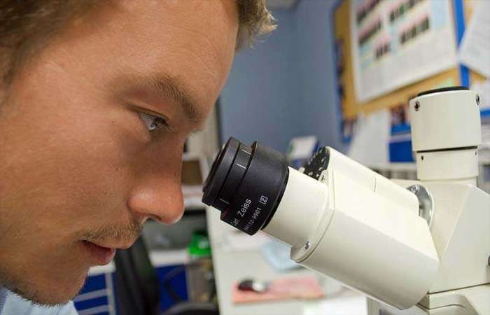 O homem envolvido no estudo, identificado apenas como Thibault, de 28 anos e natural de Lyon, disse que a tecnologia lhe deu uma nova vida - Foto: Pixabay/Divulgação./ O homem envolvido no estudo, identificado apenas como Thibault, de 28 anos e natural de Lyon, disse que a tecnologia lhe deu uma nova vida - Foto: Pixabay/Divulgação./