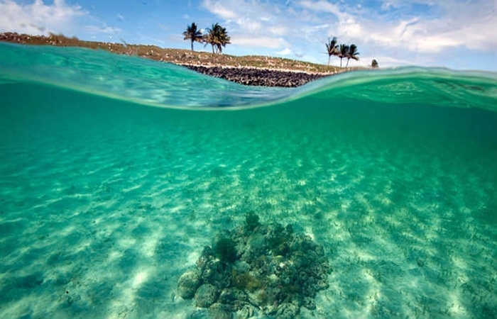 Foto: Divulga&ccedil;&atilde;o/