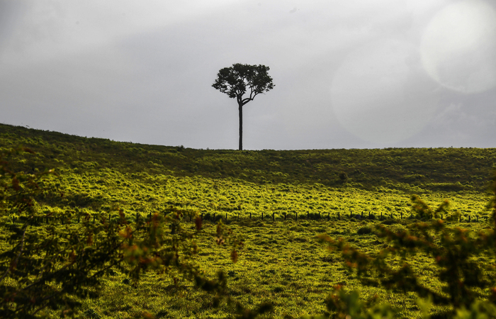Foto: NELSON ALMEIDA / AFP./ Foto: NELSON ALMEIDA / AFP./