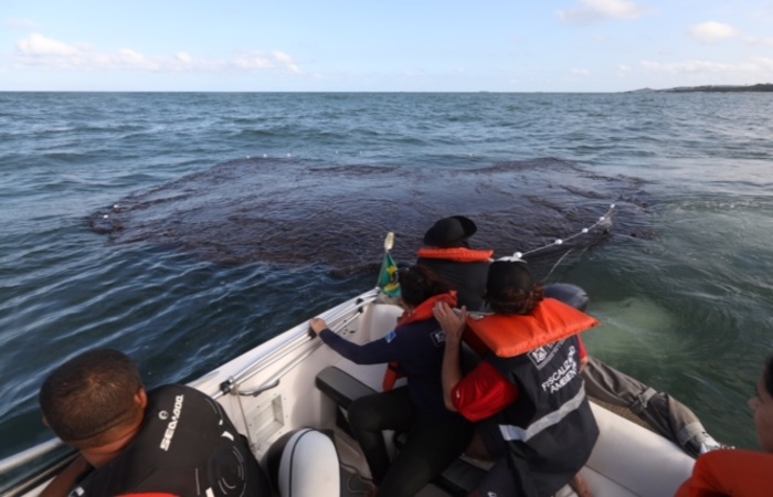 Técnicos da Prefeitura de Jaboatão dos Guararapes estão fazendo o acompanhamento da mancha de óleo que se aproxima das praias. Crédito: Matheus Brito/PMJG Divulgação/ Técnicos da Prefeitura de Jaboatão dos Guararapes estão fazendo o acompanhamento da mancha de óleo que se aproxima das praias. Crédito: Matheus Brito/PMJG Divulgação/