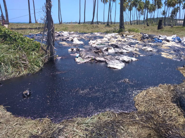 Material removido da areia da Praia do Paiva e levado para a área de vegetação. Foto: Tânia Passos/DP./ Material removido da areia da Praia do Paiva e levado para a área de vegetação. Foto: Tânia Passos/DP./