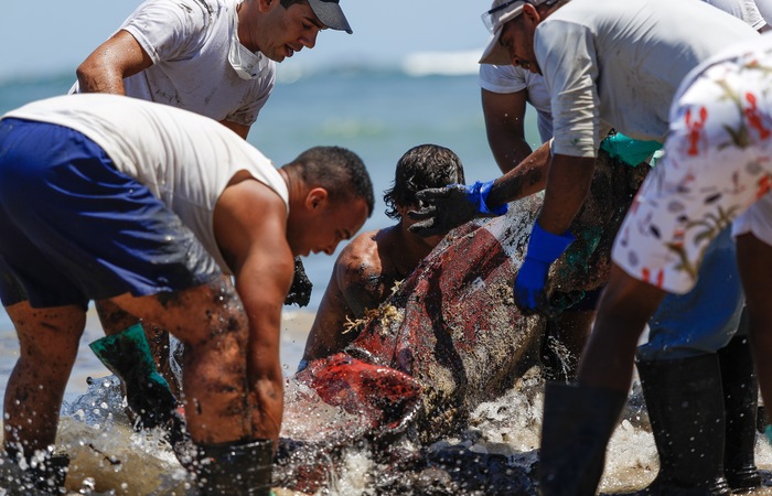 Voluntários se reúnem para retirada do óleo nas praias pernambucanas/Leandro de Santana / Esp.DP FOTO Voluntários se reúnem para retirada do óleo nas praias pernambucanas/Leandro de Santana / Esp.DP FOTO