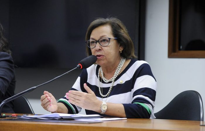 A relatora da comissão, deputada Lídice da Mata (PSB-BA), explicou que o tema foi escolhido para balizar os trabalhos do colegiado./Foto: Agência Câmara A relatora da comissão, deputada Lídice da Mata (PSB-BA), explicou que o tema foi escolhido para balizar os trabalhos do colegiado./Foto: Agência Câmara