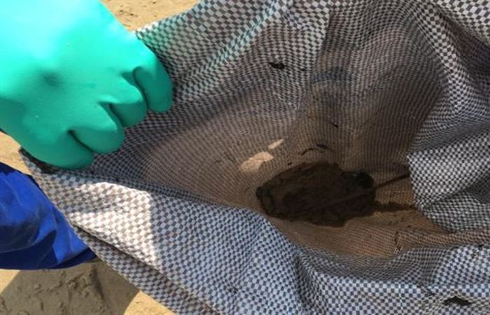 Fragmento de óleo retirado na praia de Candeias, Jaboatão dos Guararapes./Foto: Divulgação/Prefeitura de Jaboatão Fragmento de óleo retirado na praia de Candeias, Jaboatão dos Guararapes./Foto: Divulgação/Prefeitura de Jaboatão