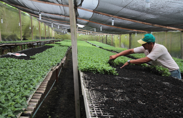 Associação comercial busca investir em novas tecnologias para o desenvolvimento do agronegócio no país/Annaclarice Almeida/DP Associação comercial busca investir em novas tecnologias para o desenvolvimento do agronegócio no país/Annaclarice Almeida/DP