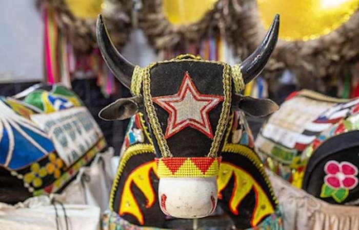 O Bumba Meu Boi é Patrimônio Cultural de Natureza Imaterial em Brasília/Foto: Thiago S. Araújo/Divulgação O Bumba Meu Boi é Patrimônio Cultural de Natureza Imaterial em Brasília/Foto: Thiago S. Araújo/Divulgação