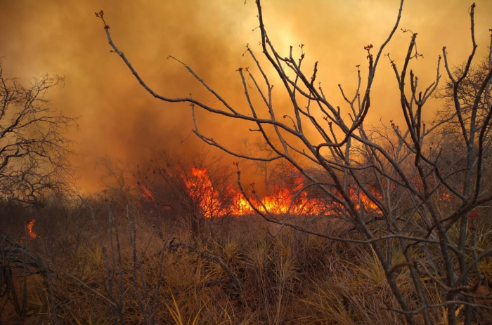 /Foto: Divulgação/Corpo de Bombeiros. /Foto: Divulgação/Corpo de Bombeiros.