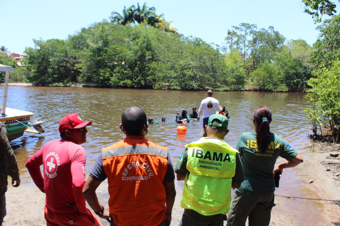 Uma força-tarefa formada por Ibama, Marinha e Defesa Civil monitoram as regiões afetadas.