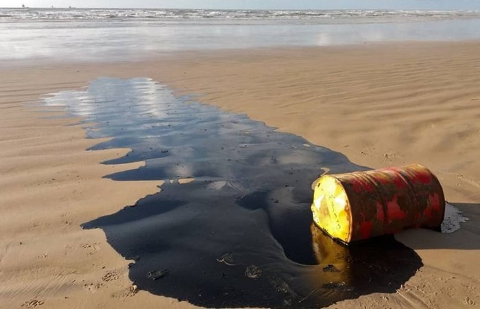 As ações de limpeza das praias do Nordeste estão concentradas em Mamucabinhas, em Pernambuco; Japaratinga, Barra de São Miguel, Coruripe, Feliz Deserto e Piaçabu, em Alagoas, e Cairu e Guaiu, na Bahia./Foto: AFP As ações de limpeza das praias do Nordeste estão concentradas em Mamucabinhas, em Pernambuco; Japaratinga, Barra de São Miguel, Coruripe, Feliz Deserto e Piaçabu, em Alagoas, e Cairu e Guaiu, na Bahia./Foto: AFP