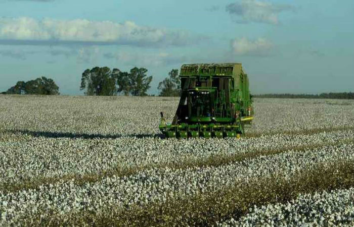Colheitadeira em plantação de algodão: setor agropecuário deve ser o maior responsável pelo avanço da economia no terceiro trimestre do ano./Foto: Ed Alves/CB/D.A Press Colheitadeira em plantação de algodão: setor agropecuário deve ser o maior responsável pelo avanço da economia no terceiro trimestre do ano./Foto: Ed Alves/CB/D.A Press
