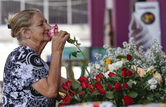 Ivonete, 66 anos, é florista na Guararapes há 38 anos./Foto: Leandro de Santana/esp.DP Ivonete, 66 anos, é florista na Guararapes há 38 anos./Foto: Leandro de Santana/esp.DP
