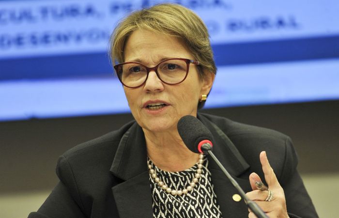 esta segunda-feira (18), o governo brasileiro divulgou dados consolidados que mostram o aumento recorde, de 29,5% em 12 meses, do desmatamento na Amazônia/Foto: Marcelo Camargo/Agência Brasil