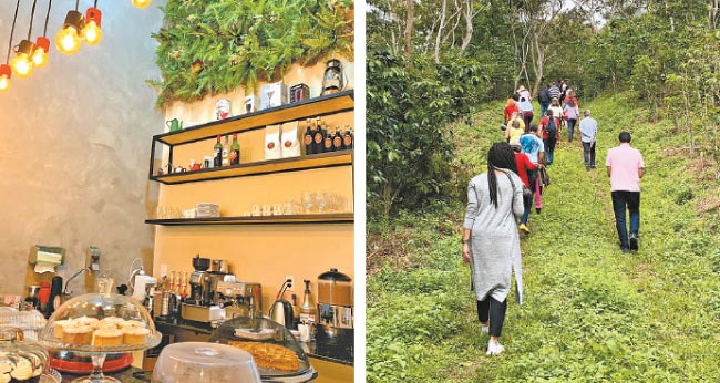 Caminhada no meio do cafezal: No S&iacute;tio Concei&ccedil;&atilde;o, o visitante conhece a produ&ccedil;&atilde;o de um dos melhores caf&eacute;s org&acirc;nicos do munic&iacute;pio, o Terral Ecol&oacute;gico/Anamaria Nascimento/Arquivo Pessoal