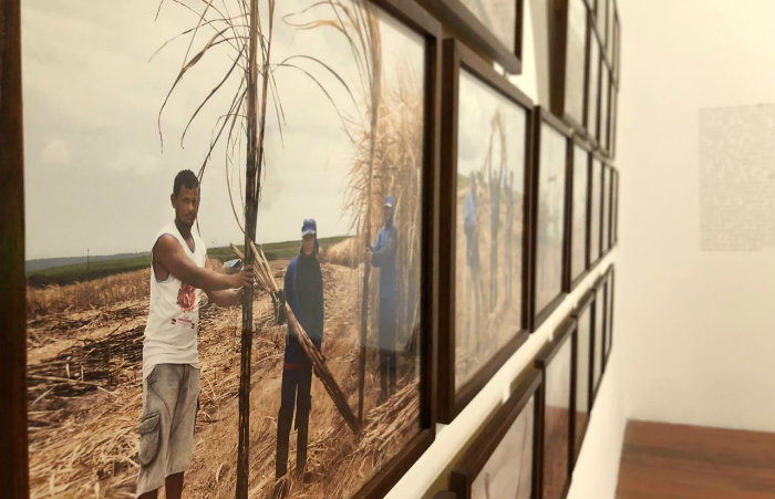 Exposição intitulada Educação pela pedra está em cartaz na Galeria Vicente do Rêgo Monteiro, na Fundaj Derby./Foto: Eduardo Rolemberg/Divulgação