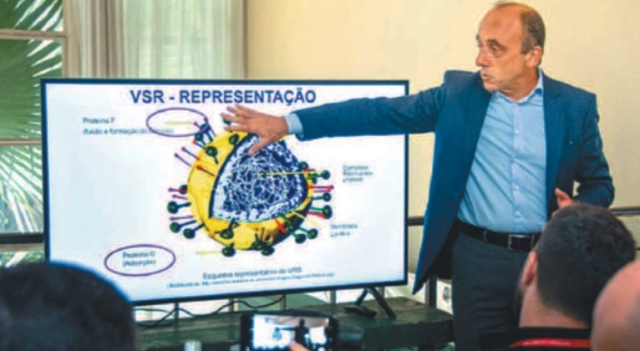 De caráter sazonal, o VSR não está associado a estações frias. A ocorrência dele varia de acordo com a região do país. No Nordeste, costuma ocorrer entre março e julho./Foto: Danniela Ramiro/Divulgação. De caráter sazonal, o VSR não está associado a estações frias. A ocorrência dele varia de acordo com a região do país. No Nordeste, costuma ocorrer entre março e julho./Foto: Danniela Ramiro/Divulgação.