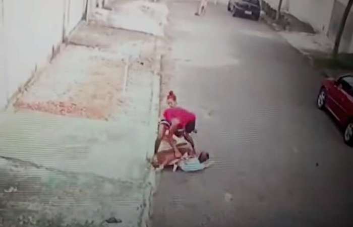 Nas imagens, a criança aparece com a babá quando o cachorro começa o ataque/Foto: Reprodução Nas imagens, a criança aparece com a babá quando o cachorro começa o ataque/Foto: Reprodução