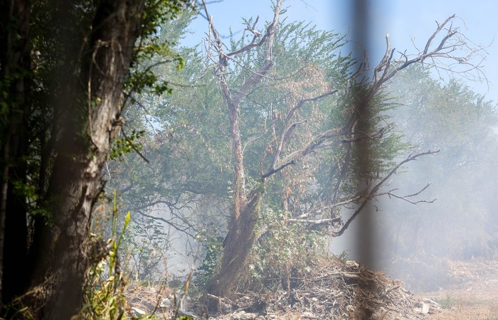 Foto: Leandro de Santana/Esp. DP Foto. 