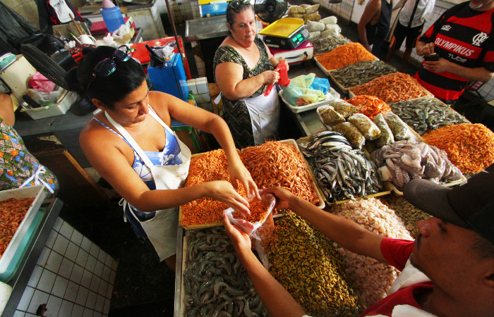 Mais de 150 amostras de peixes e frutos do mar foram coletadas para an&aacute;lise na UFPE, UFRPE e PUC-RJ./Foto: Peu Ricardo/DP.