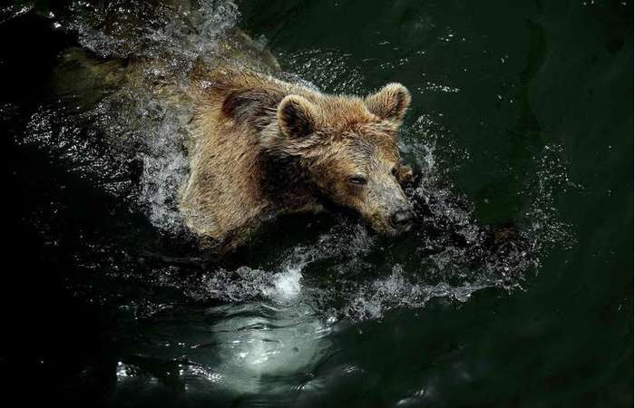 /Foto: AFP