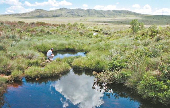 Nascente do Rio São Francisco é uma entre as muitas existentes na área do Parque Nacional da Serra da Canastra