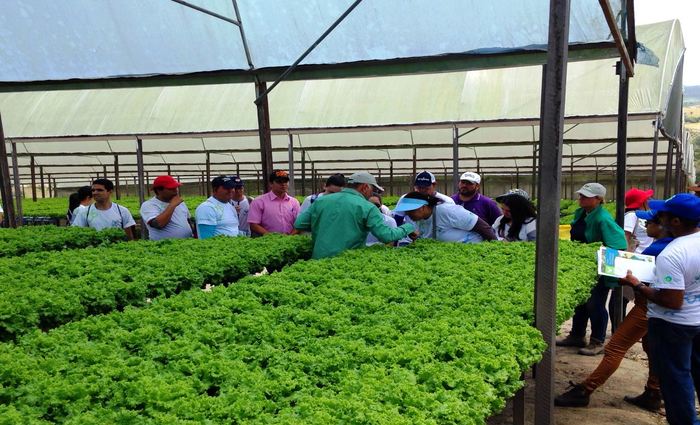 O curso é gratuito e está com vagas limitadas para os polos de Recife e Petrolina./Foto: Senar-PE/Divulgação O curso é gratuito e está com vagas limitadas para os polos de Recife e Petrolina./Foto: Senar-PE/Divulgação