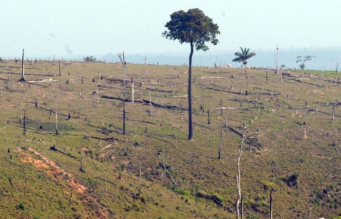 /Foto: Arquivo/Agència Brasil /Foto: Arquivo/Agència Brasil