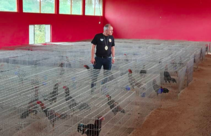 /Foto: Polícia/Divulgação /Foto: Polícia/Divulgação