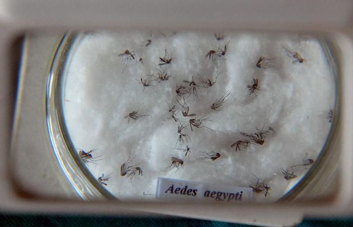 /Foto: Arquivo/Agência Brasil /Foto: Arquivo/Agência Brasil
