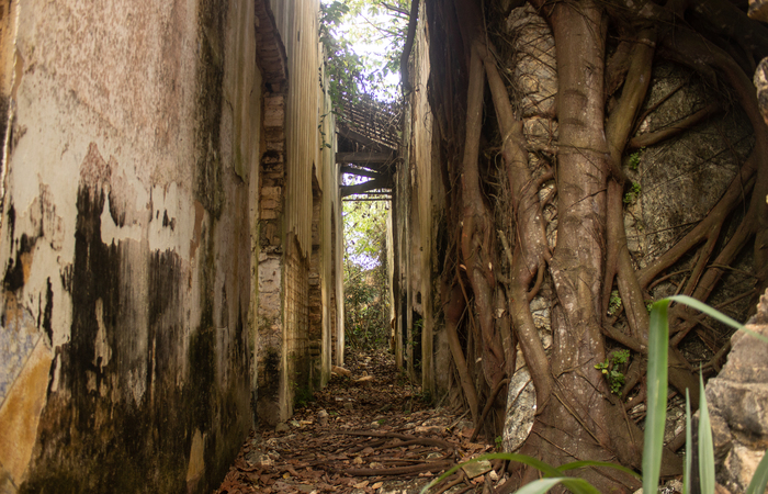 Ruínas da Casa Grande de Jundiá, em Escada.