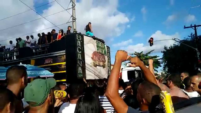 /Foto: CDU Folia/Divulgação /Foto: CDU Folia/Divulgação