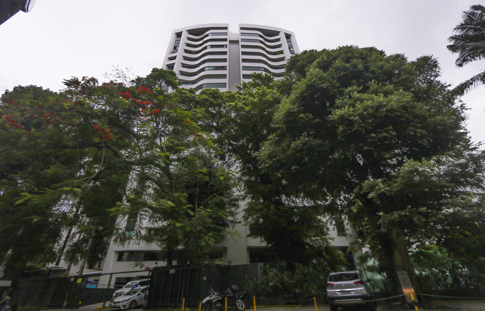 Árvores de grande porte ajudam no sombreamento e na drenagem com a retenção da água da chuva