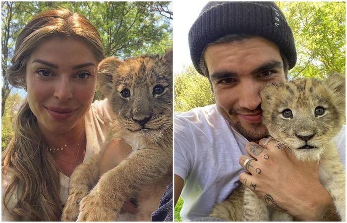 Grazi e Caio estão de férias na África do Sul/Fotos: Instagram/Reprodução