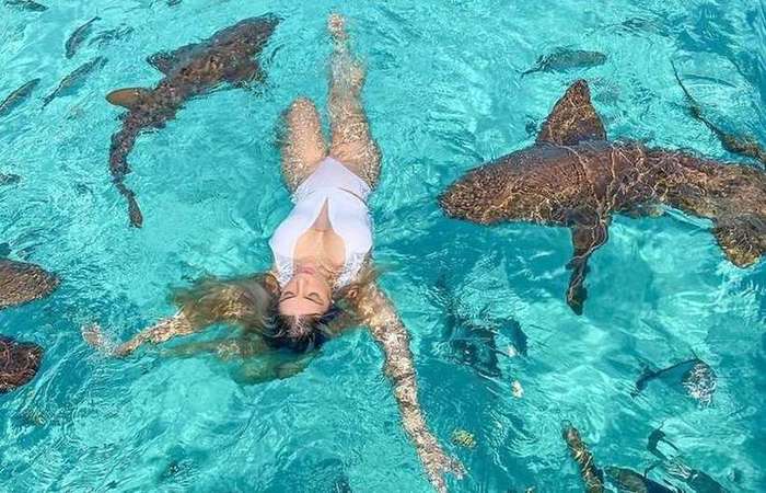 /Foto: Reprodução/Internet