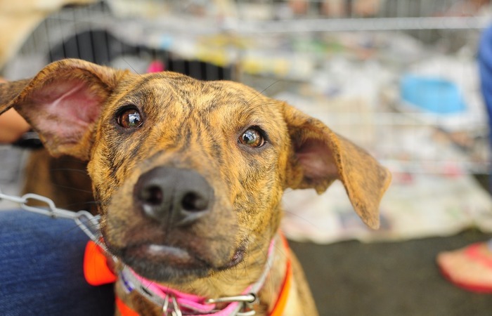 /Blenda Souto Maior/Arquivo DP