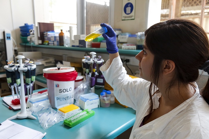 /Fotos: Alejandra De Lucca V./Minsal 2020