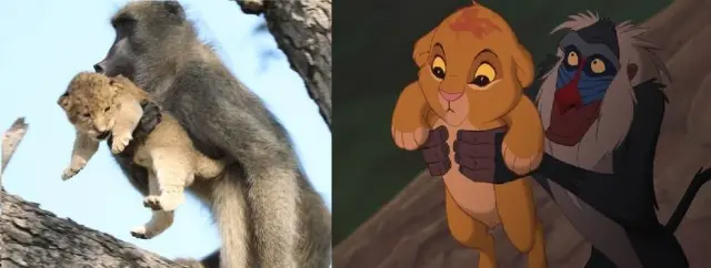 /Foto: Reprodução/Facebook e Reprodução/Disney /Foto: Reprodução/Facebook e Reprodução/Disney