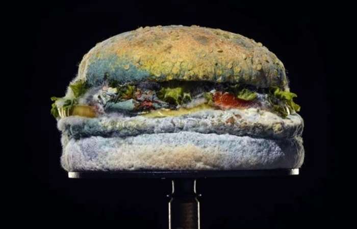 /Foto: Divulgação/Burger King