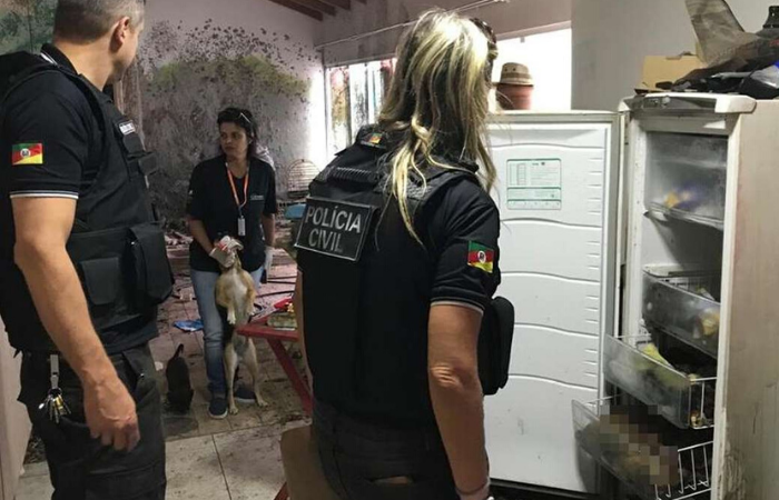 No local, 12 cães também foram resgatados com vida. Os animais estavam sem alimentação e sem água.