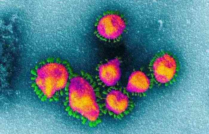 O medicamento 'Interferon alfa 2B' (INFrec) é, na verdade, um antiviral usado no tratamento da doença/foto: Reprodução / MF Press Global O medicamento 'Interferon alfa 2B' (INFrec) é, na verdade, um antiviral usado no tratamento da doença/foto: Reprodução / MF Press Global