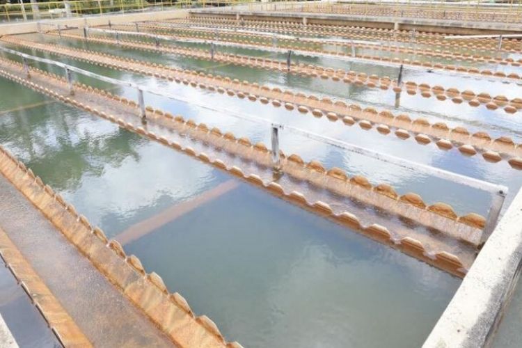 Compesa fará investimento de R$ 9,5 milhões em 43 obras na RMR/Divulgação/Compesa Compesa fará investimento de R$ 9,5 milhões em 43 obras na RMR/Divulgação/Compesa