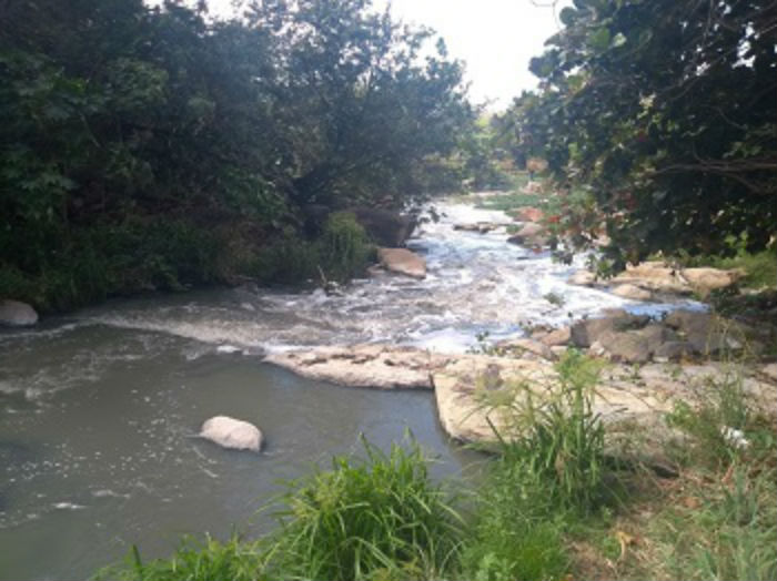 /Foto: UFPE/Divulgação/Arquivo