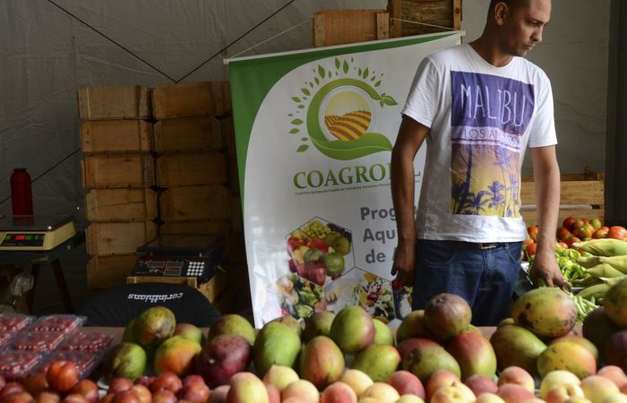 Prazo vale para declarações vencidas de 25 de março a 31 de dezembro./Foto: Rovena Rosa/Agência Brasil Prazo vale para declarações vencidas de 25 de março a 31 de dezembro./Foto: Rovena Rosa/Agência Brasil