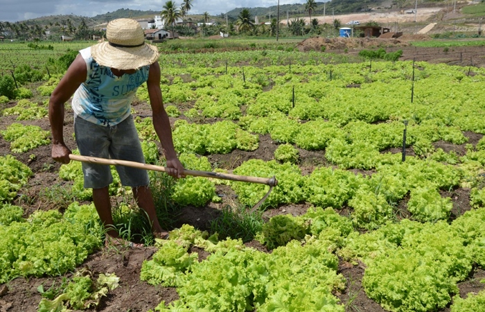 As sugestões incluem a ampliação dos recursos para programa de aquisição de alimentos, com doação simultânea./Foto: Josué da Mata/SDA As sugestões incluem a ampliação dos recursos para programa de aquisição de alimentos, com doação simultânea./Foto: Josué da Mata/SDA