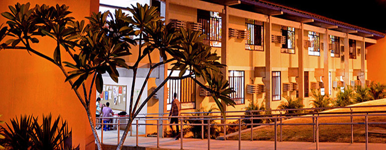 /Foto: Passarinho UFPE