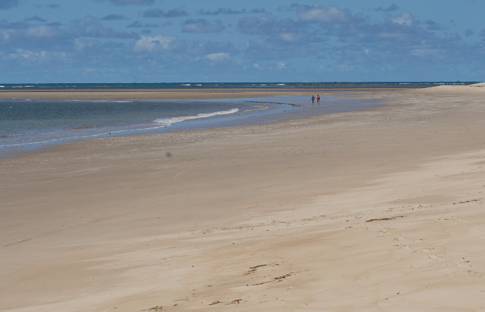 Praia da Boca da Barra, em Tamandaré, praticamente vazia.