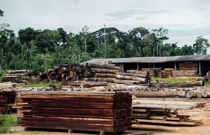 /Foto: Marcelo Camargo/Agência Brasil /Foto: Marcelo Camargo/Agência Brasil