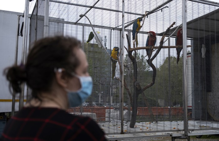 /Marco Bertorello/AFP /Marco Bertorello/AFP