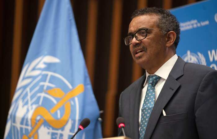 /Foto: Christopher Black / World Health Organization / AFP /Foto: Christopher Black / World Health Organization / AFP