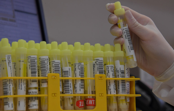 /Foto:NELSON ALMEIDA / AFP